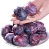 Ciruelas de Xinjiang Fruta Fresca Auténtica Caja de Regalo Francesa Envío Gratis para Mujeres Embarazadas, Ciruelas Frescas Dulces de Kashgar