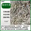 Material medicinal chinês Chá de folha de Ginkgo Chá de folha de Ginkgo detoxificado Folhas jovens Preparado para fazer chá Pode ser usado com Eucommia ulmoides e Ephedra sinica