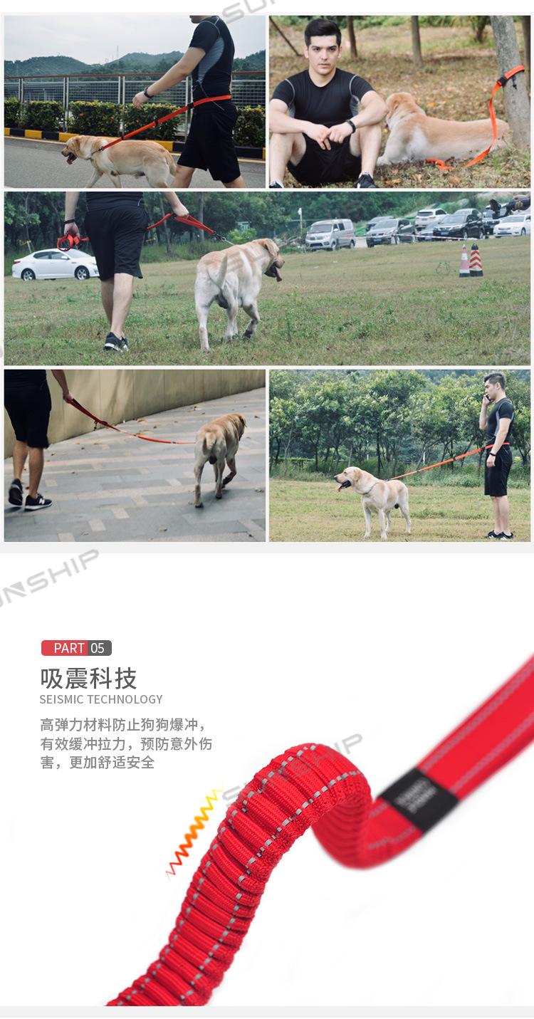宠物跑步牵引绳V_20191021_09.jpg