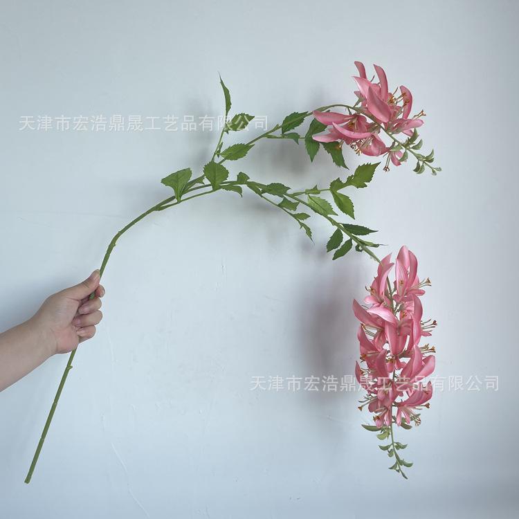 微信图片_202208241820236_副本