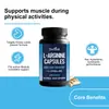 Docteat Suplemento Alimentar em Cápsulas para Desempenho Físico Suporte Muscular Aumenta a Vitalidade e a Resistência Suplemento Nutricional Esportivo