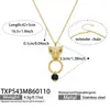Colar Clavícula com Pingente de Cabeça de Leopardo Super Brilhante com Zircônia e Borla em Y Aço Inoxidável Leve Luxo Versátil Pulseira de Ágata Brincos