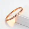 Elegante e Simples Pulseira de Aço Titânio Vazada com Números Romanos, Unissex, Luxo de Nicho com Sensação de Alta Qualidade e Incrustações de Diamante