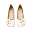 Zapatos planos populares de estilo casual con estampado floral fresco para mujer, nuevo modelo otoño 2026, mocasines planos antideslizantes de suela blanda