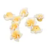 Fábrica direta de atacado de frangipani de cerâmica macia DIY pulseira colar joias de cabelo estilo viagem e vento materiais de flor artesanais
