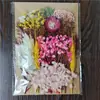 Bolsa de Materiales DIY Flor Seca Inmortal Tuanjian Marco de Fotos Pintura Tarjeta de Felicitación Tuanfan Ramo Pequeño Hecho a Mano Flor Real Bolsa de Flores en Relieve