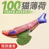 Juguete para Gatos Pez de Hierba Gatuna Realista Atrapador de Gatos, Juguete para Gatos Duradero y Resistente a Mordeduras para Entretenimiento Propio y Alivio del Aburrimiento Suministros para Mascotas
