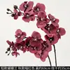 Flores de Orquídea Realistas de 38 pulgadas de Amazon para Fondos de Boda y Decoraciones Florales Orquídeas Artificiales