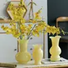 Estilo Ins Creativo Escandinavo Jarrón de Vidrio de Color Puro Gama Alta Retro Sala de Estar Hidropónico Arreglo Floral Decoración de Mesa