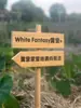 Etiquetas para Plantas de Jardín de Madera Maciza, Señales de Suelo de Madera, Señales Indicadoras para Exteriores, Señales de Aviso para Huertos Escolares de Jardín de Infancia