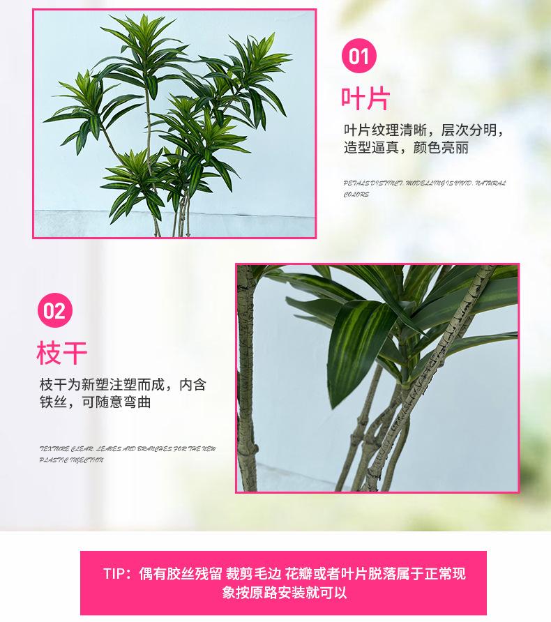 产品细节2-最终.jpg
