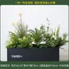 Caja de flores decoración flores y plantas arreglo floral producto terminado adorno de planta verde venta de restaurante oficina mampara canaleta de flores paisajismo biónico