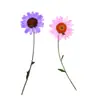 Flores Secas com Galhos, Crisântemos e Margaridas Prensados, Kit de Material para Abajur de Mesa com Flores Prensadas, Marcador de Página de Flores Naturais, Espécime de Planta em Resina
