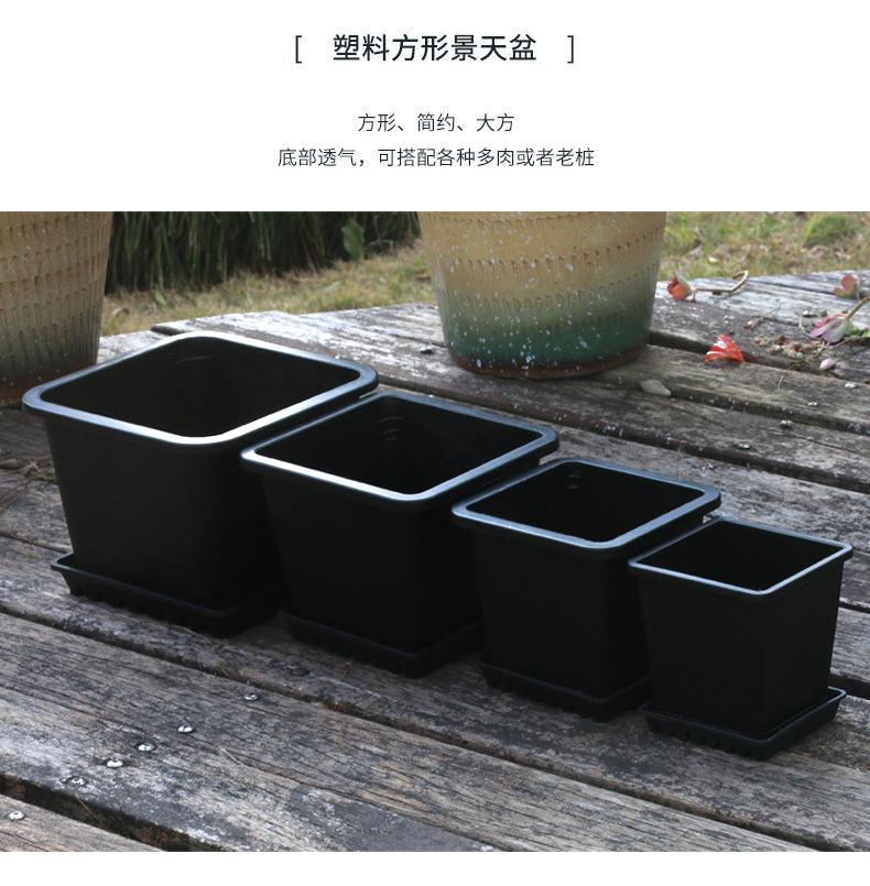 景天盆+托盘详情_01_1.jpg