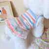 Ropa para perro gato mascota vestido de princesa perro pequeño oso teddy chaleco falda primavera y verano ropa fina venta al por mayor
