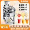 Exprimidor Industrial de Tomate y Cítricos Prensa Espiral Exprimidor Leyou Acero Inoxidable Cobre Puro Exprimidor Comercial