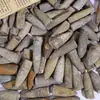 Juguetes de Excavación Arqueológica de Fósiles Naturales Caja Sorpresa Fósiles de Animales y Plantas Marinas Paleontológicas Dientes Esqueleto Piedra Bruta Venta al por Mayor