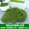 Césped de Musgo Artificial Musgo Verde Falso Adornos de Micro Paisajismo Césped Jardinería Bonsái Pavimentación Enverdecimiento Paisajismo Venta Directa de Fábrica