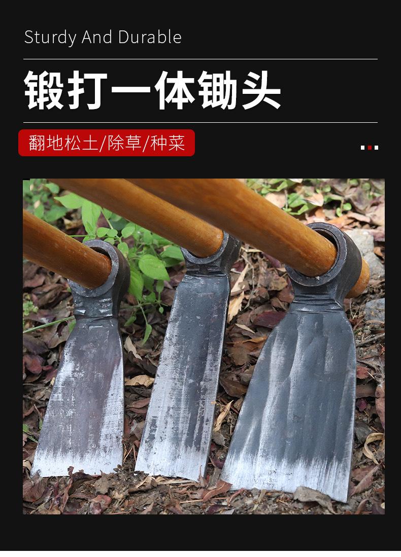 详情_01.jpg