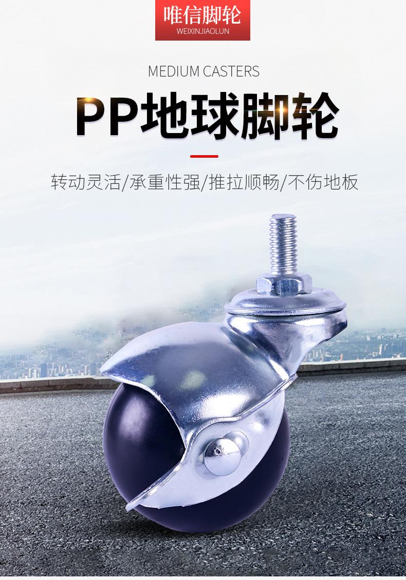 2寸pp地球轮