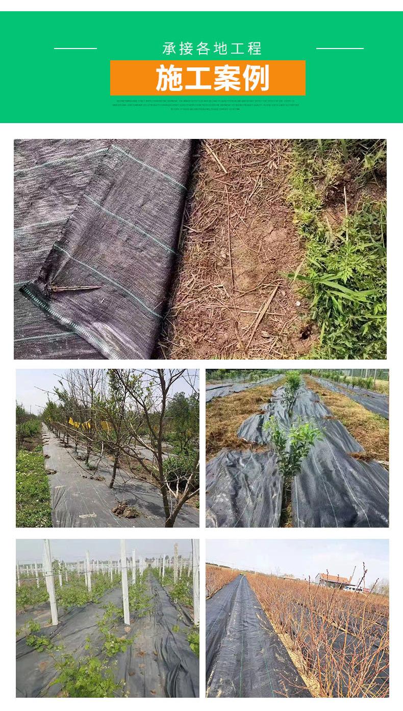 防草布_07.jpg