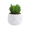 Plantas en Maceta de Suculentas de Diamante Simuladas al por Mayor, Decoración del Hogar, Plantas Suculentas para Oficina, Adornos de Plantas Verdes, En Stock, Entrega Inmediata