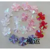 Encaje de Perlas Hecho a Mano, Lentejuelas, Flores, Zapatos, Sombreros, Accesorios para el Cabello, Accesorios de Decoración para Ropa y Materiales