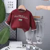 Ropa infantil transfronteriza conjunto de dos piezas moda otoño invierno nuevo para niños bebé traje infantil suéter traje de manga larga