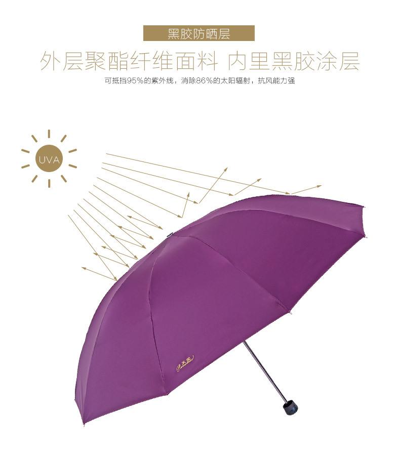 雨伞详情_06