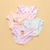 Ropa Interior Infantil Algodón Puro Clase A Ropa Interior para Bebés Niñas Cintura Media Pequeño, Mediano y Grande Pantalones Cortos Infantiles Verano Venta Directa de Fábrica Venta al por Mayor