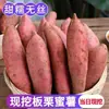 Batatas Frescas, Batatas de Suelo Arenoso, Batatas Castaña, Batatas de Corazón Rojo, Batatas Pegajosas, Batatas Fragantes, Patatas de Henan Cultivadas por Uno Mismo, Batatas de Corazón Amarillo