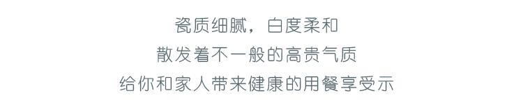 盘子-恢复的_06.gif