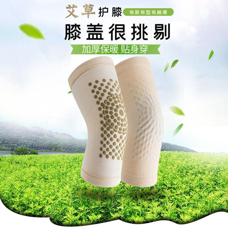 艾草 (16)
