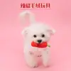 Tianyuan Peluche Personalizado de Chile para Mascotas Poliéster Suministros para Gatos y Perros Venta al por Mayor