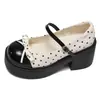Zapatos de salón retro de tacón alto gruesos para mujer, nuevo estilo otoño 2026, versátiles con faldas, zapatos Mary Jane de estilo francés para aumentar la altura