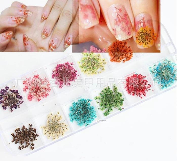 1-box-Nail-Dried-Flower-3d-Nai
