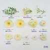 Kit de materiales para flores artificiales tipo J, kit de materiales para flores hechas a mano DIY, accesorios para cajas de flores, accesorio para el cabello, materiales auxiliares para hacer flores de horquilla, flores artificiales