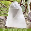 Bolsa Especial para Racimos de Uva Cubierta a Prueba de Pájaros e Insectos Techo Artefacto Patio Bolsa para Uvas Bolsa de Malla de Nylon Transparente Transpirable