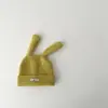 Chapéu de Bebê Qiunan Outono Inverno Novo Fofo à Prova de Vento Orelha de Coelho Chapéu de Tricô Quente Chapéu de Lã Chapéu de Pulôver Infantil