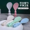 Vertical Rice Spoon Cozinha Trigo Palha Tableware Cute Rabbit Rice Spoon Creative japonês Standing Rice Shovel