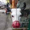 Suministros Funerarios Plástico Cabeza de Ganado Ampolla Cabeza de Ganado Cabeza de Ganado Caballo Cabeza de Ganado Caballo Sacrificio Productos Funerarios Ganado Caballo Productos Semi-acabados