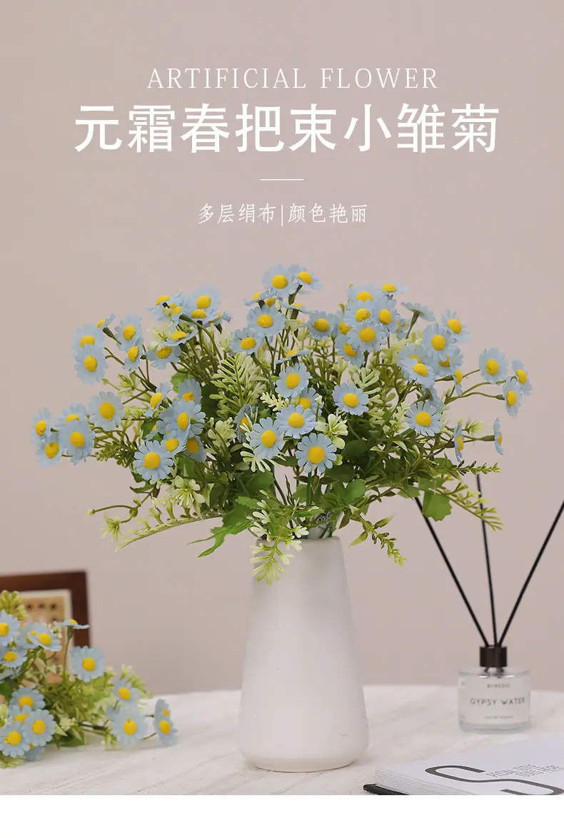 元霜春把束小雏菊_01.jpg