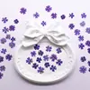 Pequeña Belleza Flor de Cerezo Flor Real Flor Prensada Estampado Tutorial Material de Espécimen Vegetal Flor Seca de Resina Funda para Teléfono DIY