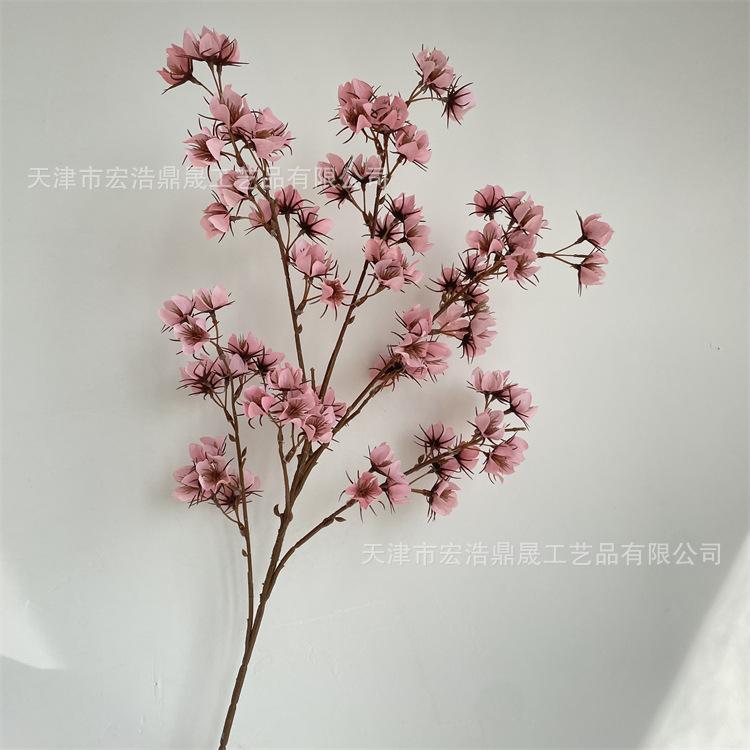 微信图片_202209081727137