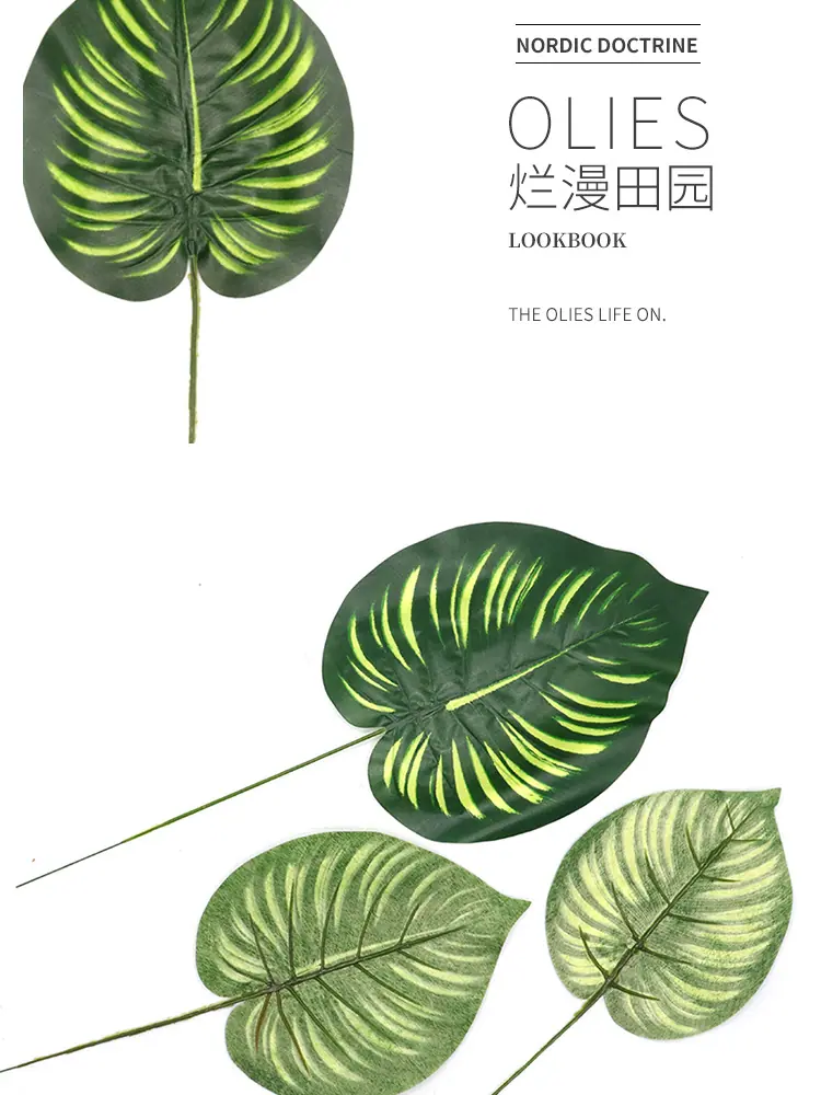 花绿萝叶单支_08.jpg