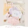 Calzoncillos tipo bóxer de algodón antibacteriano, transpirables, amigables con la piel y cómodos para niñas, en stock para entrega rápida, tallas S-5XL