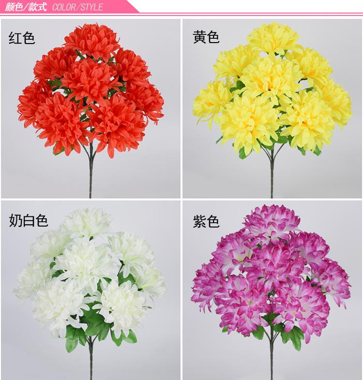 9头尖菊_04.jpg