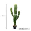 Cacto Artificial em Vaso Planta Grande Falso Cacto Escandinavo Cena Interna Decorações de Janela Ornaments Régua de Medição