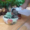 Boca puntiaguda boca curva botella exprimible herramienta riego de flores casero botella rociadora pequeña cuidado de flores regadera para plantas de interior pico largo