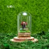 Venta al por mayor de fábrica Piedra Bruta de Cristal Natural Muestra de Mineral para Niños Divulgación Científica Enseñanza Piedra Semipreciosa Adorno de Escritorio para el Hogar